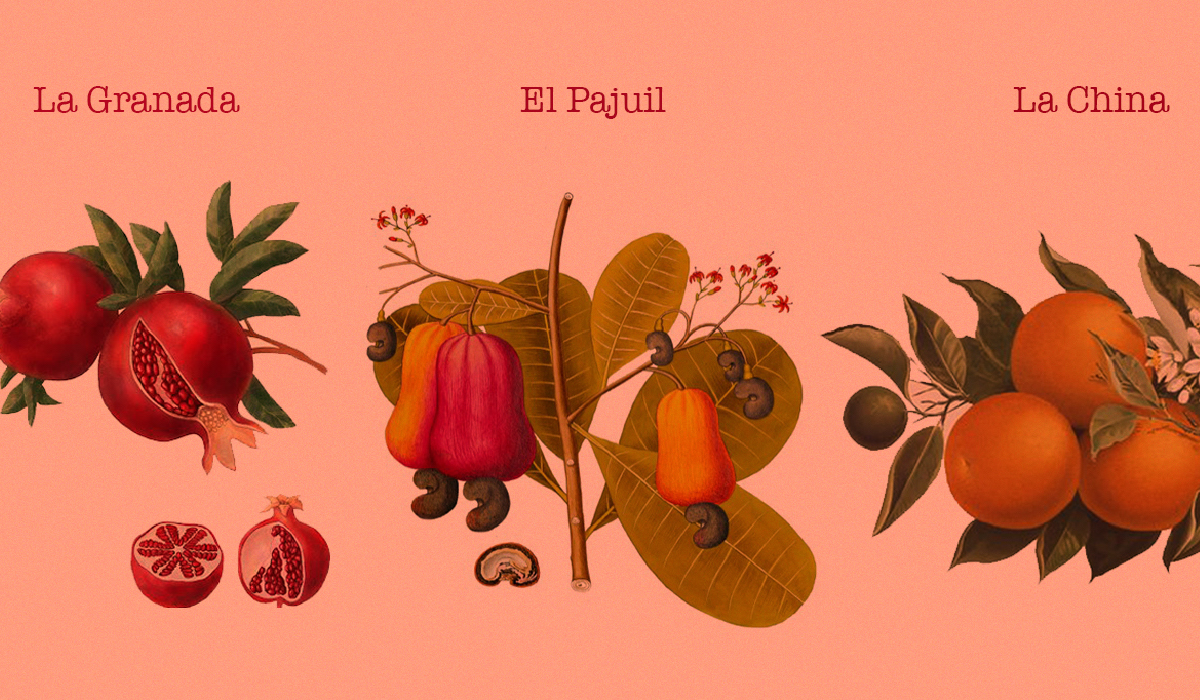 ¿A qué sabe una fruta tropical?