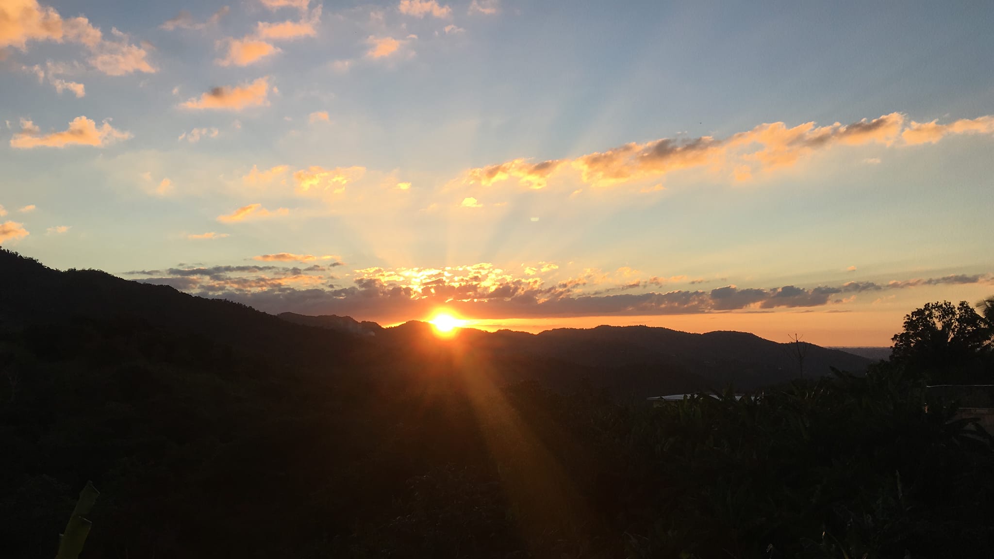 Felicitaciones con motivo de las Fiestas de Pascua y nuevo año